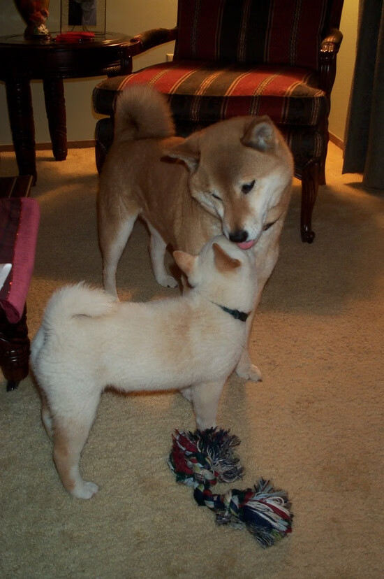 节奏变化频繁是否更容易打乱对手换防体系,节奏变化的目的是什么